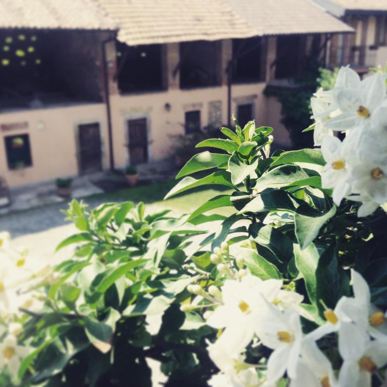 Agriturismo Cascina Magana Burago di Molgora Zewnętrze zdjęcie